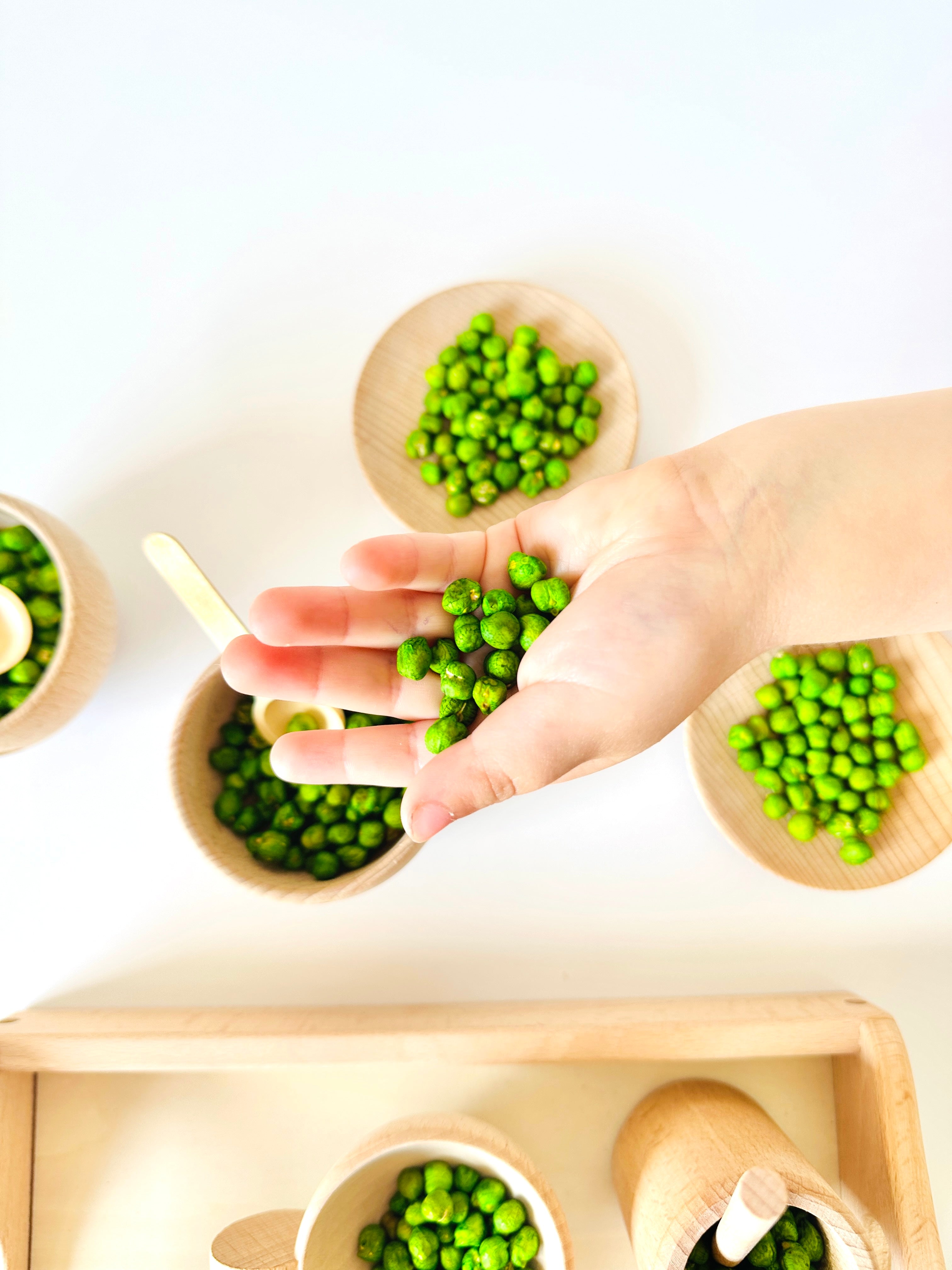 Sensory Chickpeas