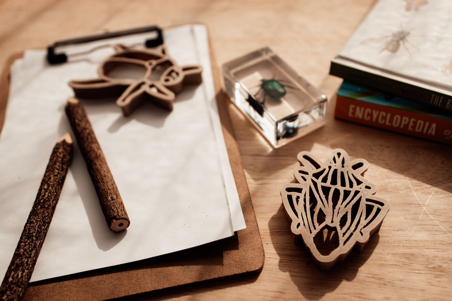 Bug Eco Cutter
