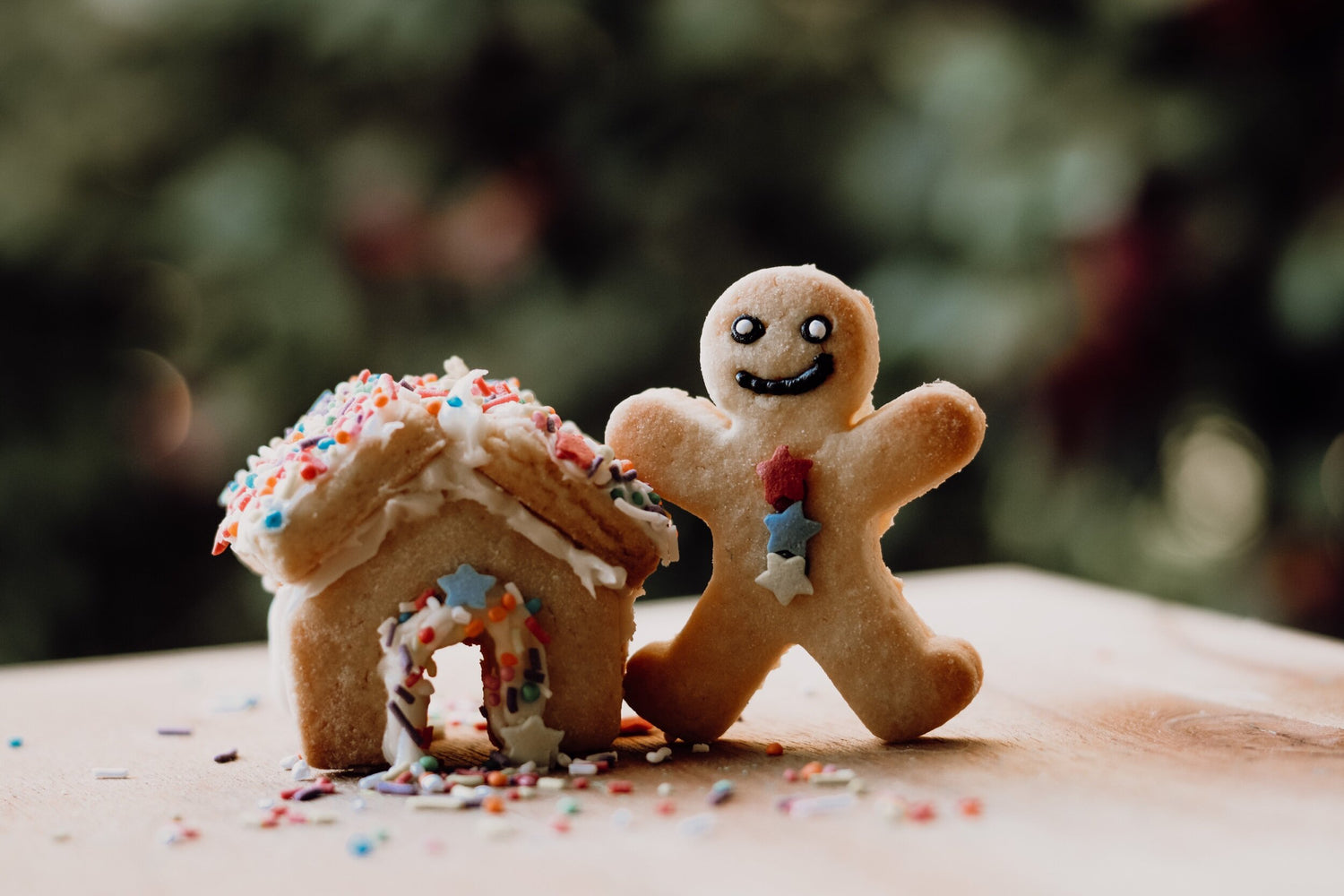 Mini Gingerbread House Eco Cutter