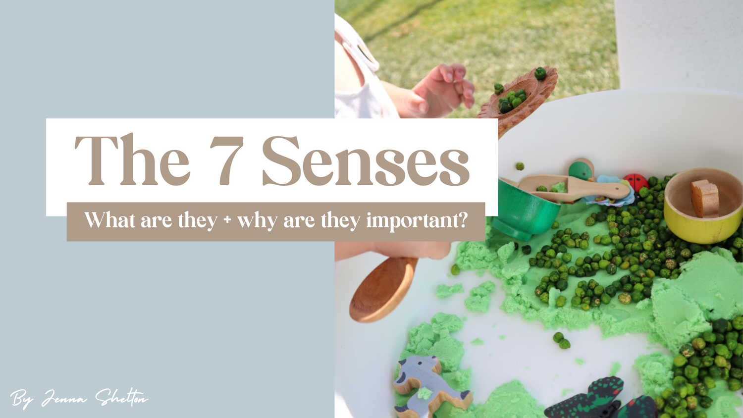 The Seven Senses